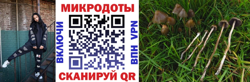 Псилоцибиновые грибы Cubensis  купить наркотик  Буинск 