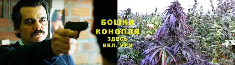 Марихуана THC 21%  нарко площадка клад  Буинск 